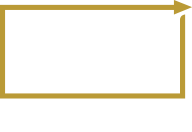 CAZ Consulting